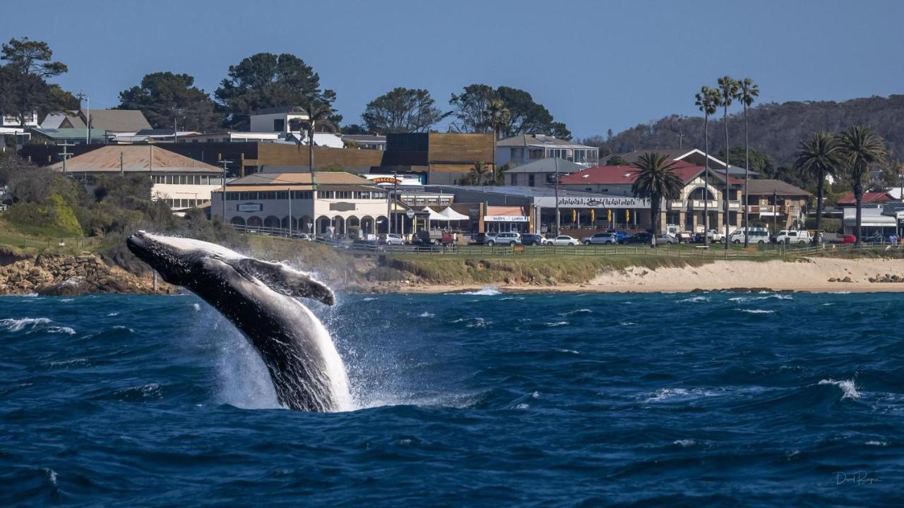 Bermagui Beach Hotel Eksteriør billede